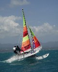 Hobie Cat