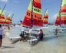 Hobie Cat