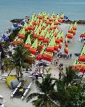 Hobie Cat