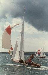 Osprey sailing